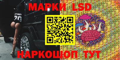 дмт Пенза