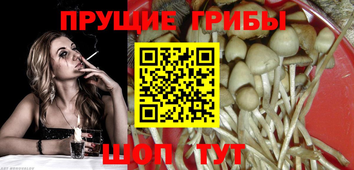 Псилоцибиновые грибы прущие грибы  Вход с VPN  хочу   Галлюциногенные грибы GOLDEN TEACHER  Торжок 