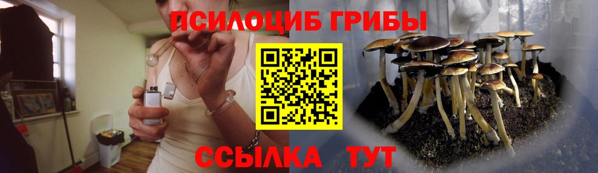 Псилоцибиновые грибы Cubensis Торжок